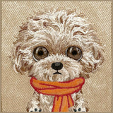 Nimmy Big Eye Cute Pet Poodle Dog Case with MagSafe for iPhone 17 6.3" Brown Orange - N-XDY-IP17-04
